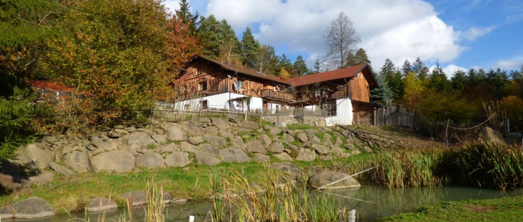 Bayerischer Wald Ferienhaus mit Hund eingezäuntes Grundstück