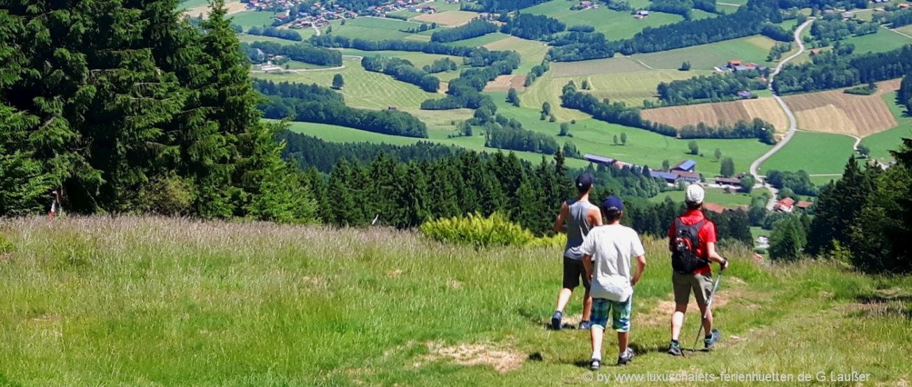 Wandern Bayerischer Wald Wanderurlaub In Bayern Wanderferien Oberpfalz